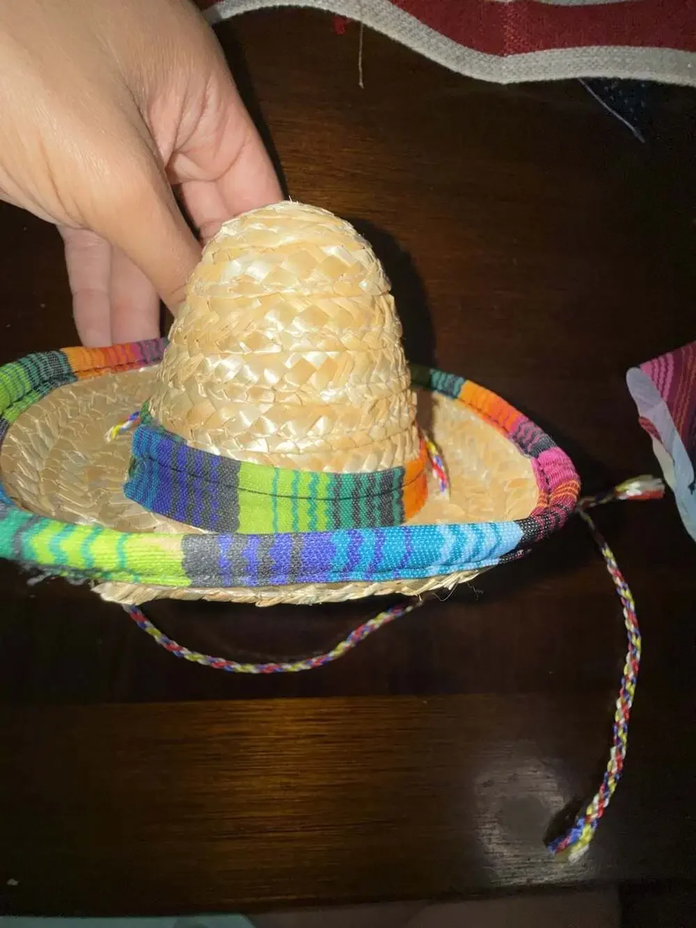 Fiesta Pet Costume Set: Mini Sombrero, Rainbow Bandana, and Round Sunglasses
